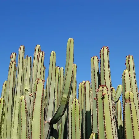 Salobre Golf 2 By Villagrancanaria Villa